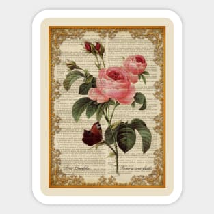 Botanical print, on old book page - Roses Sticker